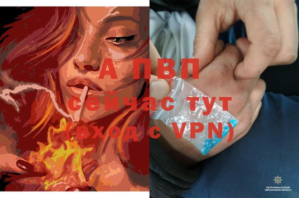 мдма Корсаков