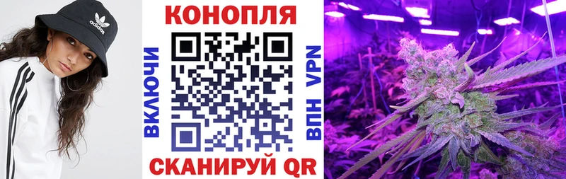Купить  Белореченск  Бошки марихуана план 